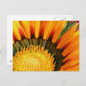 Gazania Postkarte (Vorne/Hinten)