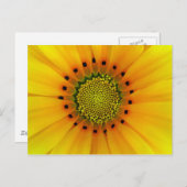 Gazania Postkarte (Vorne/Hinten)