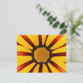 Gazania Postkarte (Stehend Vorderseite)