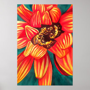 Gazania South African Blume Aquarellkunst Poster