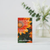 Gazania-Visitenkarten Visitenkarte (Stehend Vorderseite)