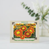 GAZANIAS Postkarte (Stehend Vorderseite)