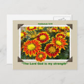 GAZANIAS Postkarte (Vorne/Hinten)