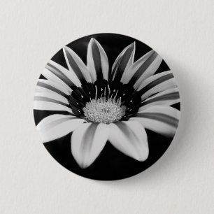 Gazanie Button