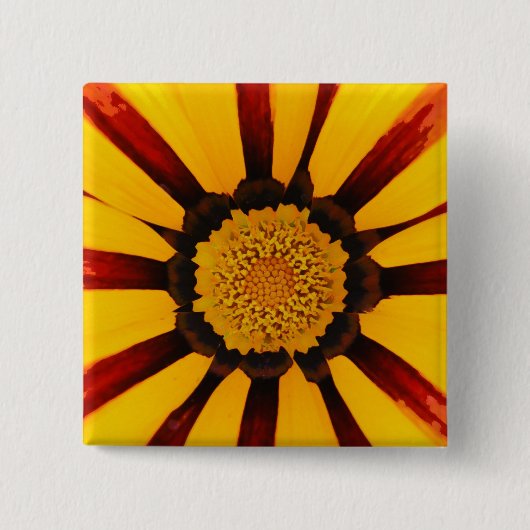 Gazanie Button (Vorderseite)