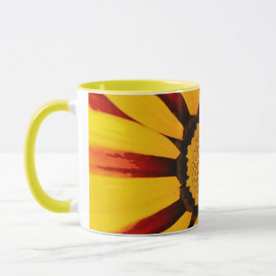 GAZANIE TASSE