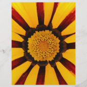 GAZANIEN FLYER (Vorne)