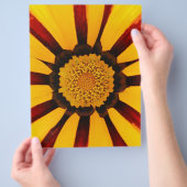 GAZANIEN FLYER (Hand)