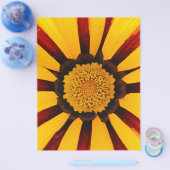 GAZANIEN FLYER (Einzeln)