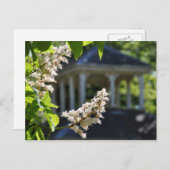 'Gazebo' Postkarte (Vorne/Hinten)