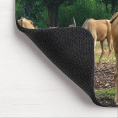 Gazelle瞪 羚 mousepad (Ecke)