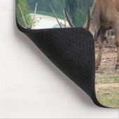 Gazelle瞪 羚 mousepad (Ecke)