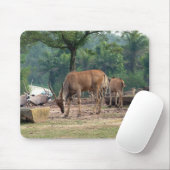 Gazelle瞪 羚 mousepad (Mit Mouse)