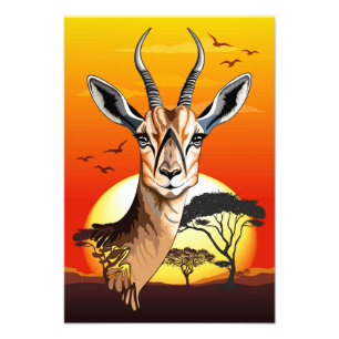 Gazelle African Antelope Wild Animal Fotodruck