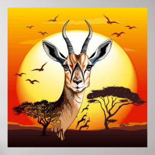 Gazelle African Antelope Wild Animal Poster