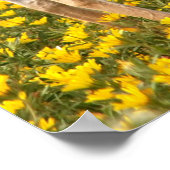 Gazelle auf der Wiese Poster (Ecke)