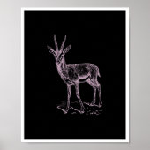 Gazelle Deer Poster (Vorne)