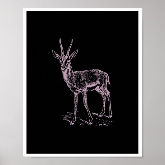 Gazelle Deer Poster (Vorne)