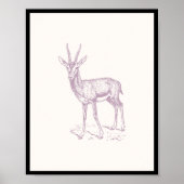 Gazelle Deer Poster (Vorne)