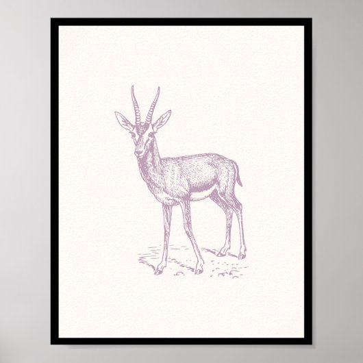 Gazelle Deer Poster (Vorne)