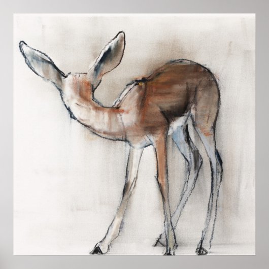 Gazelle Fawn Poster (Vorne)