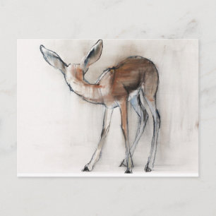 Gazelle Fawn Postkarte