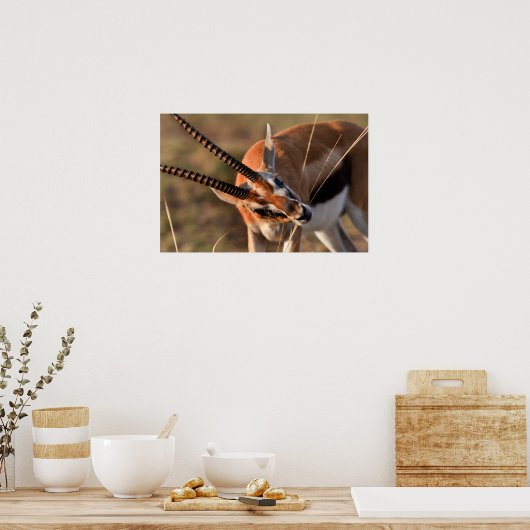 Gazelle Graze Poster (Küche)