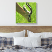 Gazelle Grazing Canvas Leinwanddruck (Insitu (Schlafzimmer))
