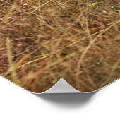 Gazelle Horn mit Poster (Ecke)