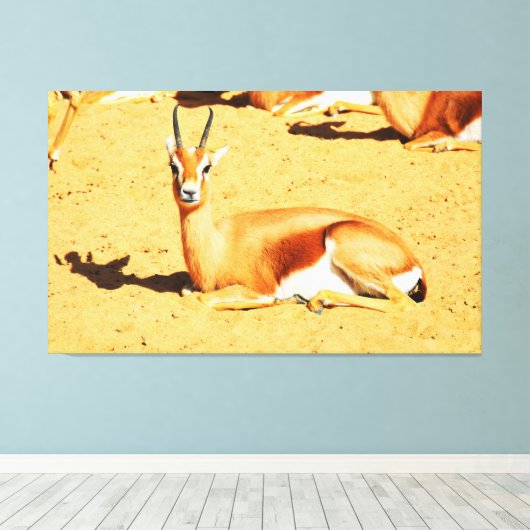 Gazelle Leinwanddruck (Insitu (Holzboden))