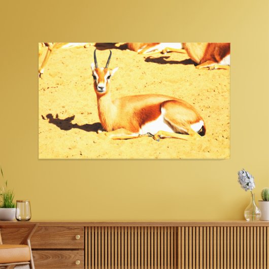 Gazelle Leinwanddruck (Insitu (Wohnzimmer))