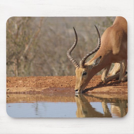 Gazelle Mousepad (Vorne)
