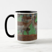 Gazelle Mug Tasse (Links)