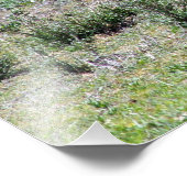 Gazellen an den Ebenen Fotodruck (Ecke)