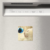 Gazette auf einen blauen Stern Magnet (In Situ (Geschirrspüler))