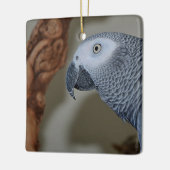Gazing Congo African Gray Parrot Keramikornament (Links)