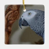 Gazing Congo African Gray Parrot Keramikornament (Vorderseite)