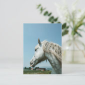 Gazing Dappled Gray Postkarte (Stehend Vorderseite)