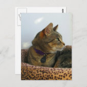 Gazing Indigo Postkarte (Vorne/Hinten)