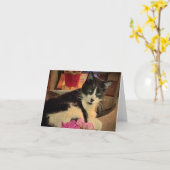 Gazing Lazily (eine leere Karte) Karte (Gelbe Blume)