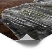 Gazing Wolf Poster (Ecke)