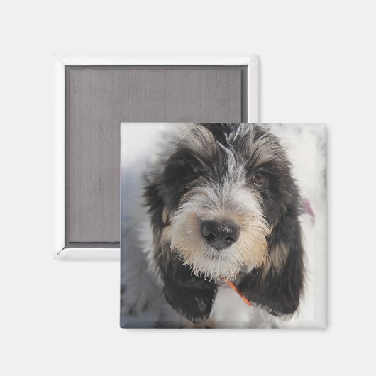 GBGV Welppy Magnet (Vorderseite/Rückseite)