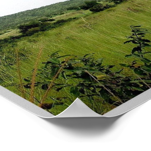 Gbomblora - Savannah - Poster (Ecke)