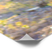 GC POSTER (Ecke)