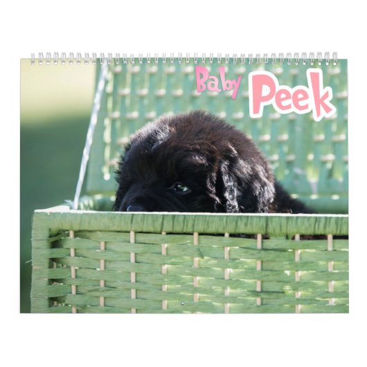 GCH Notta Bears eroberte mein Interesse Kalender (Titelbild)