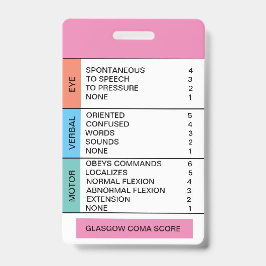GCS/Consciness Cheat Sheet für Abzeichen-Rollen Ausweis (Vorderseite)