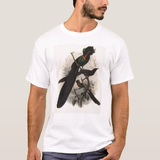Gd Eliot - Astrapia Nigra T-Shirt