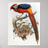 GD Elliot - Hybrid-Fasan-Portfolio Poster (Vorne)