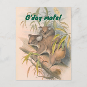 G'day Mate Australian Gruß mit Koalas Postkarte