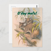 G'day Mate Australian Gruß mit Koalas Postkarte (Vorne/Hinten)